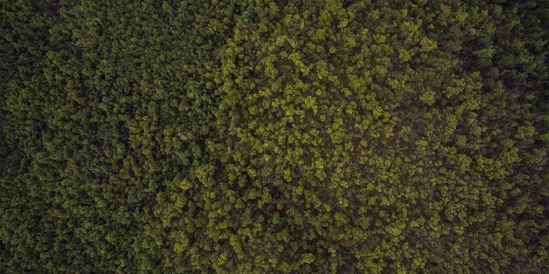 3Y ZJ视角下的网络功能虚拟化(NFV)与容器化网络功能性能对比与演进趋势