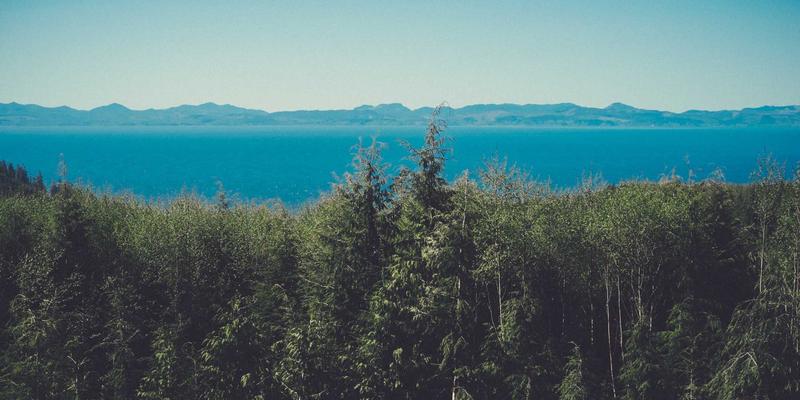 5款提升编程效率的软件工具，技术博客作者都在用