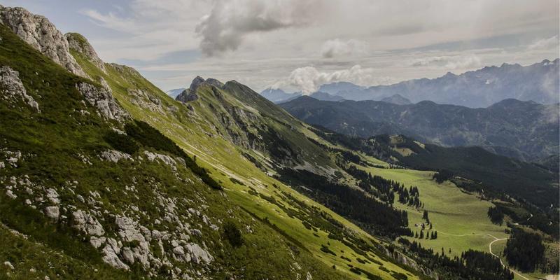 从技术博客到数字资源库：编程开发案例中的流量增长密码