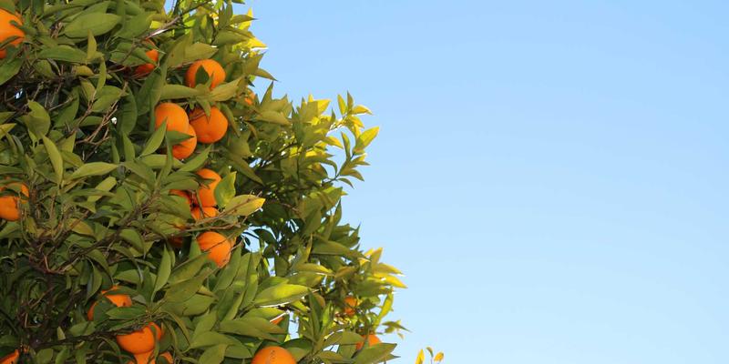 基于AI的网络流量预测与智能带宽管理：优化数字资源分配的3Y ZJ策略