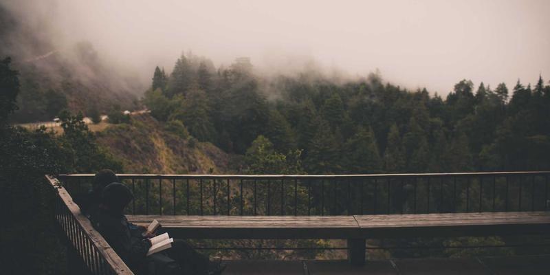 技术博客:数字时代编程开发者的核心资源库与成长引擎