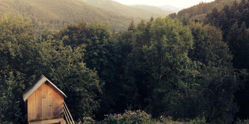 网络功能即服务：运营商如何通过API开放网络能力，赋能行业数字化转型