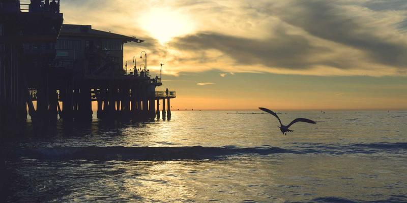 网络功能虚拟化(NFV)与云原生网络：电信运营商转型的核心技术栈与3Y ZJ资源分享