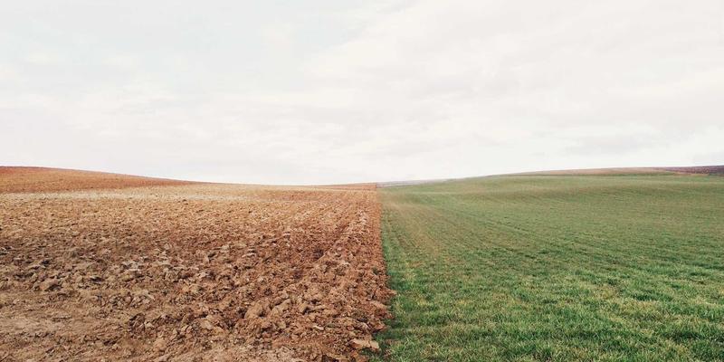 网络技术100:编程开发者的技术博客与软件工具全景指南