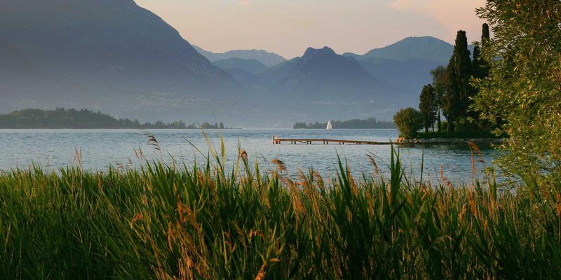 网络技术36：解锁数字资源与高效编程开发的协同之道