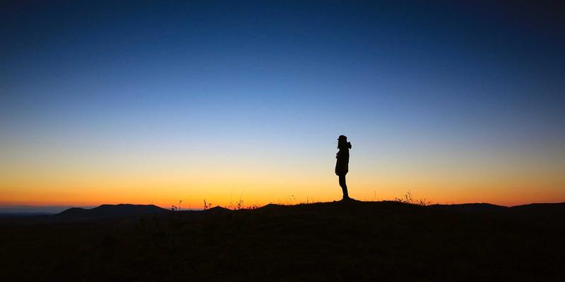 网络技术48：编程开发与数字资源融合的新范式