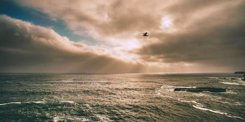 网络技术53：解锁数字资源与软件工具的高效共享之道