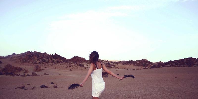 网络技术76：软件工具与数字资源高效管理全攻略