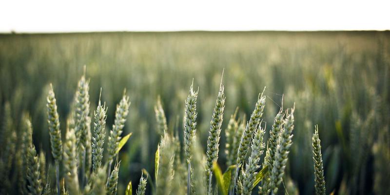 网络技术82：编程开发者的资源宝库与进阶指南