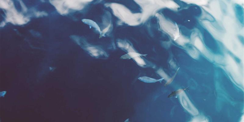 网络技术最佳实践:高效利用数字资源与软件工具的权威指南