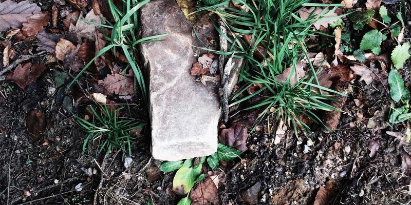 网络数据平面编程的硬件加速：从智能网卡到可编程交换芯片的技术演进与开发实践