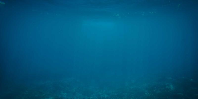 网络虚拟化技术在云计算环境中的实践案例：资源分享与软件工具深度解析