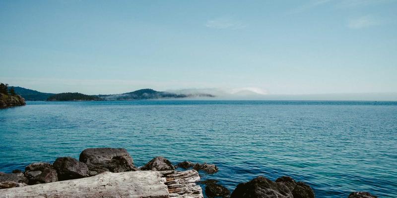 软件工具与3Y ZJ：驱动现代网络技术进化的双引擎