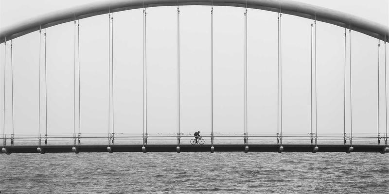 软件工具与数字资源：驱动现代网络技术发展的双引擎